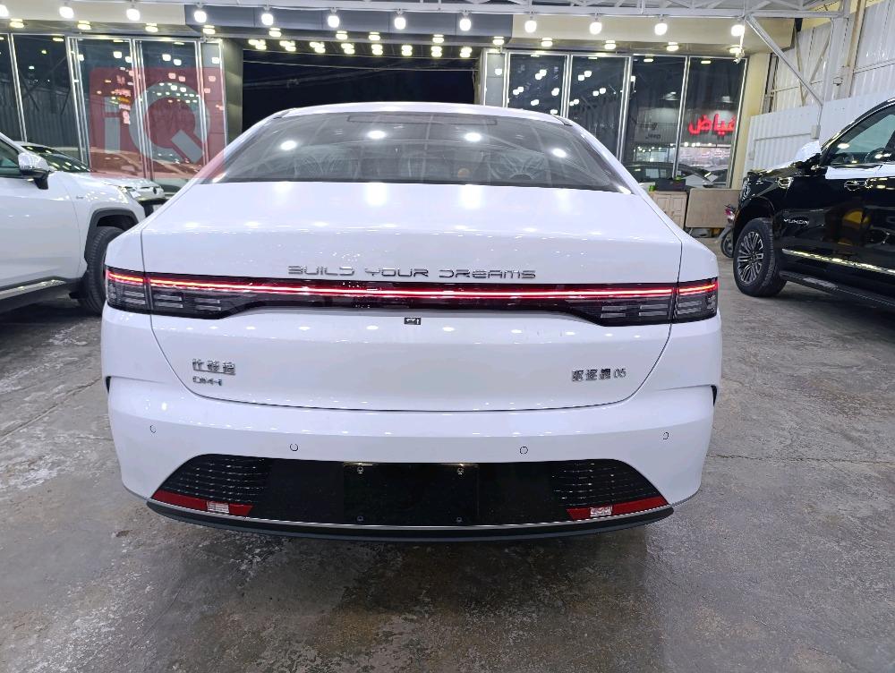 بي واي دي ديستروير 05